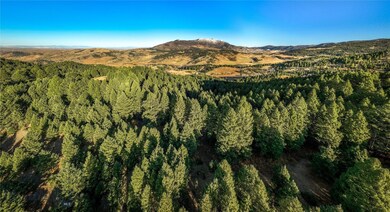 495 Moffit Gulch Rd, Bozeman, MT 59715 - photo 6