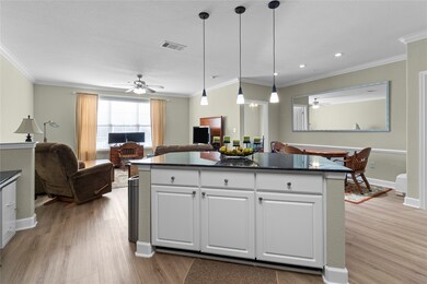 The Valencia unit 136, Houston, TX 77054 - photo 5