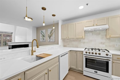 145 E Bay Dr unit 35, Walled Lake, MI 48390 - photo 5