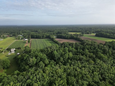 0 Cypress Campground Rd unit LotWP001, Ridgeville, SC 29472 - photo 5