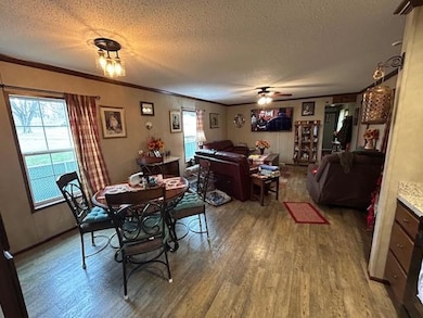 203 2nd St, Vining, IA 52348 - photo 3