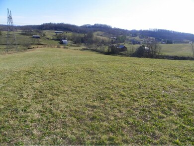 TBD Old Baxter Rd, Fall Branch, TN 37656 - photo 2