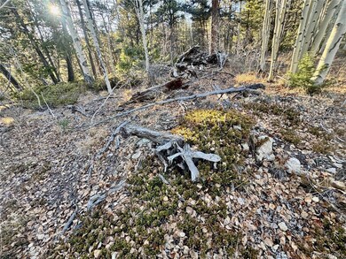 lot 5888 Loubier Rd, Fort Garland, CO 81133 - photo 5