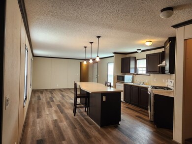 641 W Walnut St unit 41, Oglesby, IL 61348 - photo 3