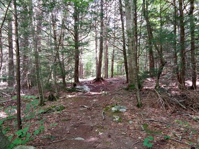 40 Glendale Rd, Fiskdale, MA 01518 - photo 3