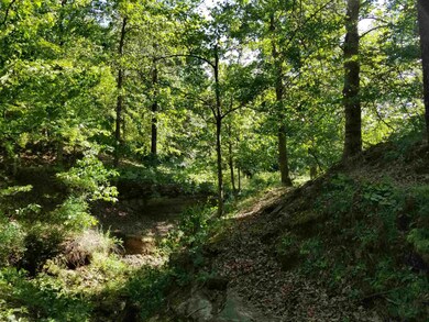 Lot 3 E Sylvania Rd, Bloomfield, IN 47424 - photo 4