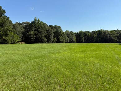 County Road 11, Ariton, AL 36311 - photo 6