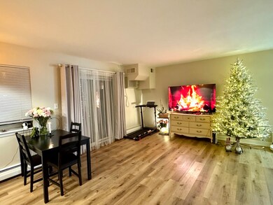 535 S Cleveland Ave unit 101, Arlington Heights, IL 60005 - photo 2