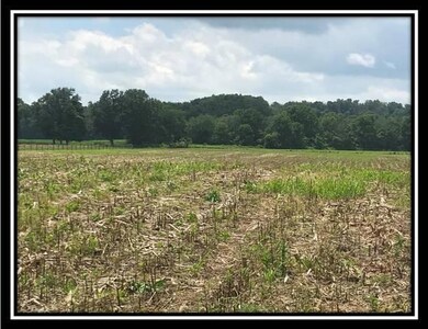 10364 Rankin Rd, Glenford, OH 43739 - photo 4