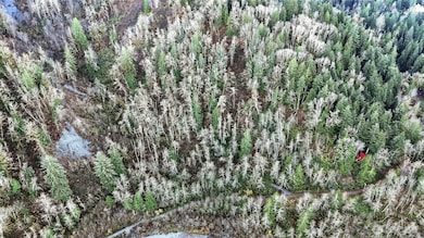 0 00381300002900 unit NWM2456608, Gold Bar, WA 98251 - photo 6