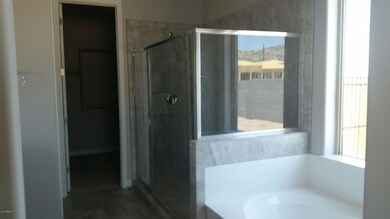 LE 22 Master Tub and Sshower