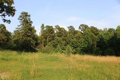 3847 Highway 34 W, Paragould, AR 72450 - photo 4