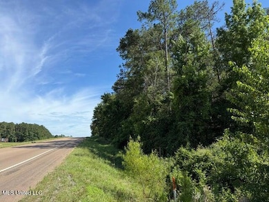 2 Acres U S 49, Collins, MS 39428 - photo 2