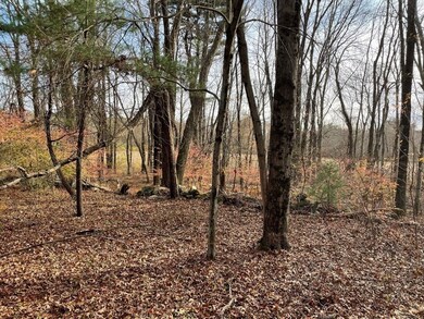 7 Central Turnpike, Wilkinsonvile, MA 01590 - photo 3