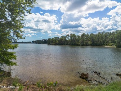19721 Riverline Dr W, Saucier, MS 39574 - photo 5