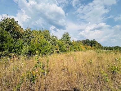 00a Highway M, Stockton, MO 65785 - photo 7
