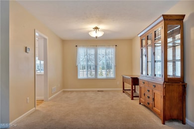 10397 W Cobblestone Ln, Twinsburg, OH 44087 - photo 6