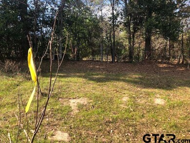 13149 Fm 848, Whitehouse, TX 75791 - photo 5