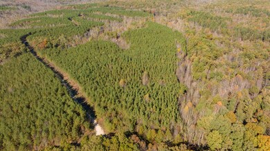 0 Old Highway 18 Tract 11, Stewart, TN 37175 - photo 4