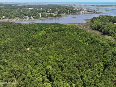 141.83 Acres Watts Landing Rd, Hampstead, NC 28443 - photo 6