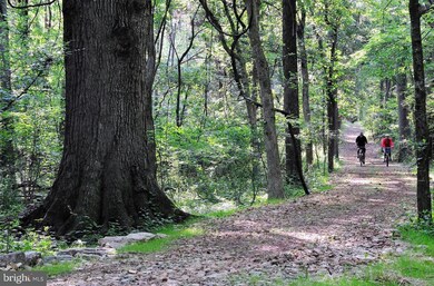 40789 Foxtail Fields Dr, Aldie, VA 20105 - photo 3