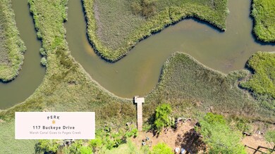 117BuckeyeDriveSkyView-2