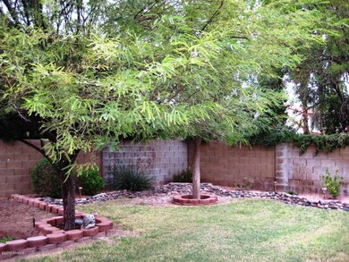 green area in back yard