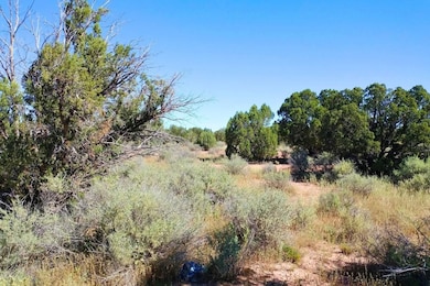 3992 Sorrel Rd, Snowflake, AZ 85937 - photo 3