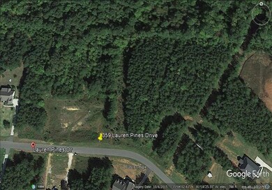 359 Lauren Pines Dr unit 10, York, SC 29745 - photo 4