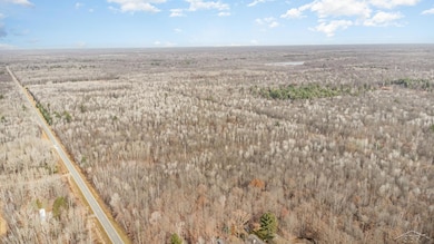 0 S County Line Rd unit 50195279, Shepherd, MI 48883 - photo 4