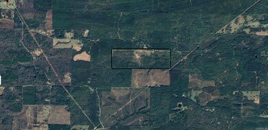 987 Walker Rd, Amity, AR 71921 - photo 5