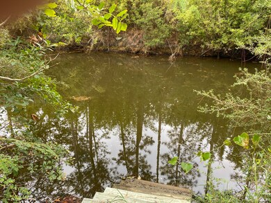 Steps to Water
