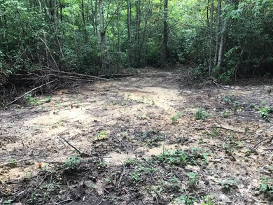 Tbd Bobcat Dr, Big Stone Gap, VA 24219 - photo 6