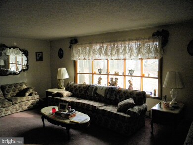 557 High Rd, Ashland, PA 17921 - photo 5