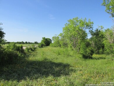 000 County Road 355, Hondo, TX 78861 - photo 6