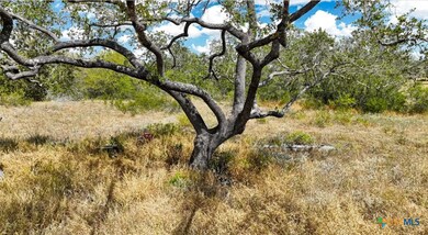 205 Trophy Ln, Poteet, TX 78065 - photo 6