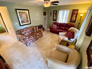 501 E Grant St, Virginia, IL 62691 - photo 4