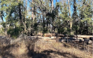 LOT46 NE Blue Springs Church Rd, Lee, FL 32059 - photo 5