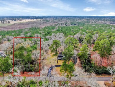 0 S Creek unit 45658700, Magnolia, TX 77354 - photo 2