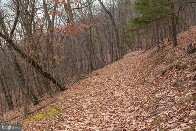 648 Buttercup Dr, Mathias, WV 26812 - photo 6