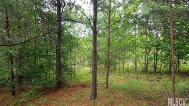 Lot #327