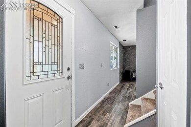 Entryway with a wood stove and dark hardwood / woo