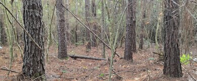 29eef31e-7381-4a6e-8e04-922f2d56370d