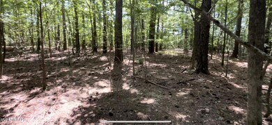 IMG_9257