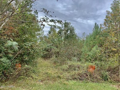 20191104185239800507000000-o[1]