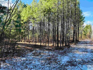 0 Trexler Rd, Texarkana, TX 75501 - photo 5