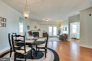 24660 Woolly Mammoth Terrace unit 401, Aldie, VA 20105 - photo 4