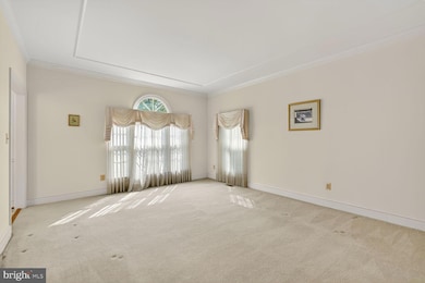 5405 8th Rd N, Arlington, VA 22205 - photo 5