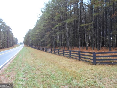 173 Youth Jersey Rd, Covington, GA 30014 - photo 5