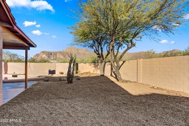 East side of the back yard 20th